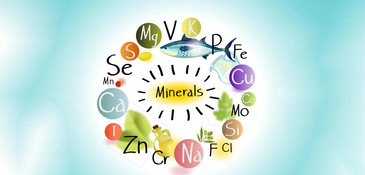 Nutritional factors - tooth eruption