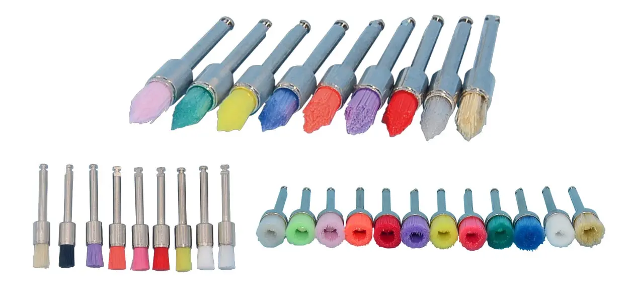 Dental Prophy Brush